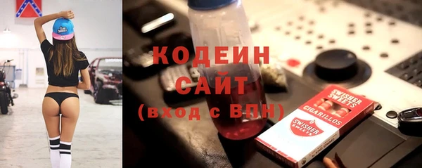 гашик Алзамай