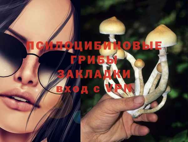 гашик Алзамай