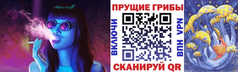 mega как войти  купить   Череповец  Галлюциногенные грибы Cubensis 
